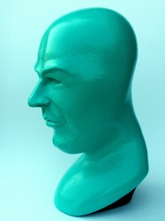 machiel zwart art kunst  head hoofd turquoise sculpture kop 